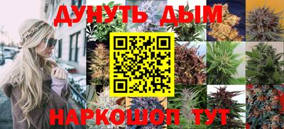 мдпв Новокубанск