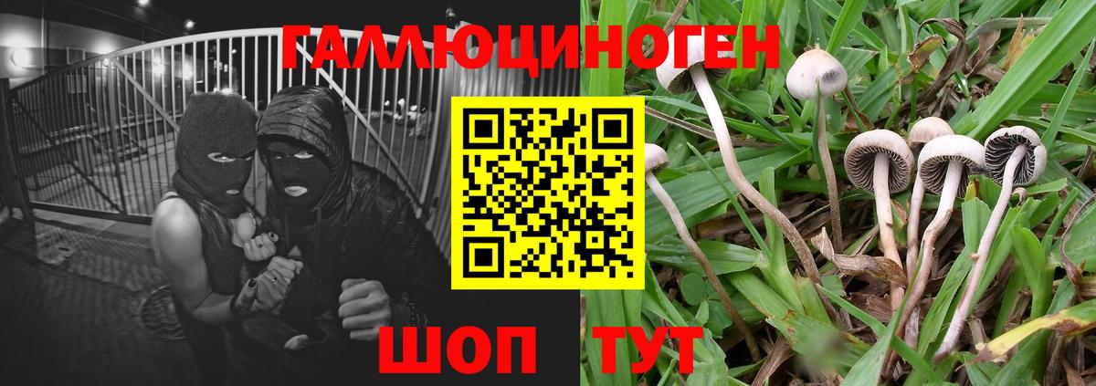 Псилоцибиновые грибы Magic Shrooms Прокопьевск