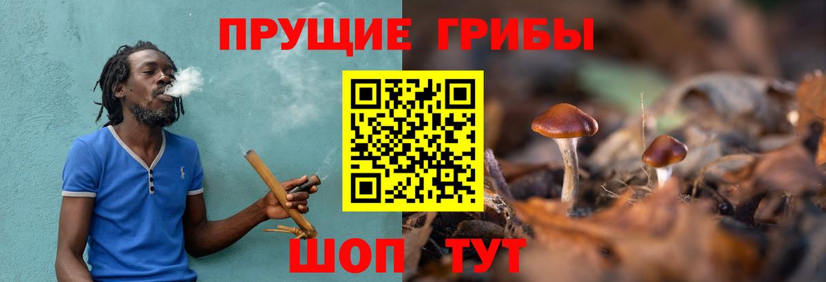Прокопьевск  Галлюциногенные грибы прущие грибы  Вход с VPN 